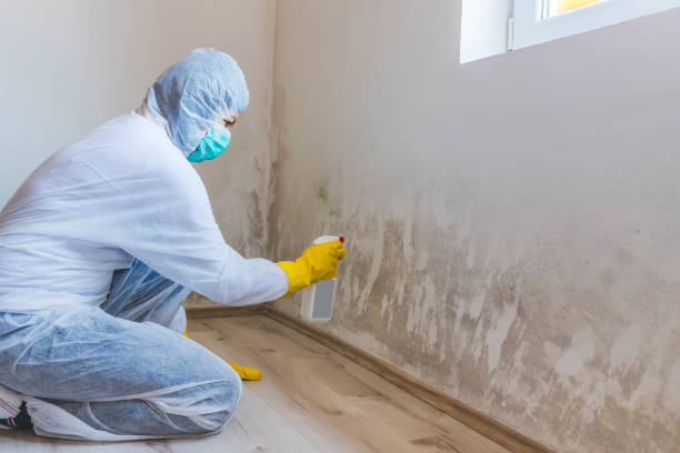 Licensed Commercial Mold Remediation service in Snow Camp, NC - WQB Mold Removal