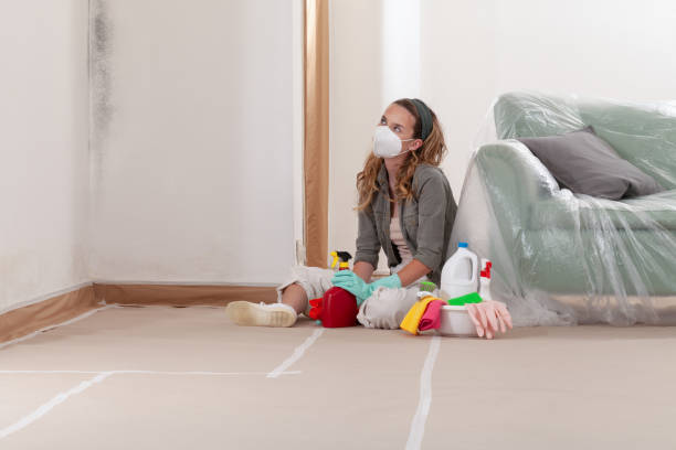 Reliable Commercial Mold Remediation contractor in Snow Camp, NC by WQB Mold Removal